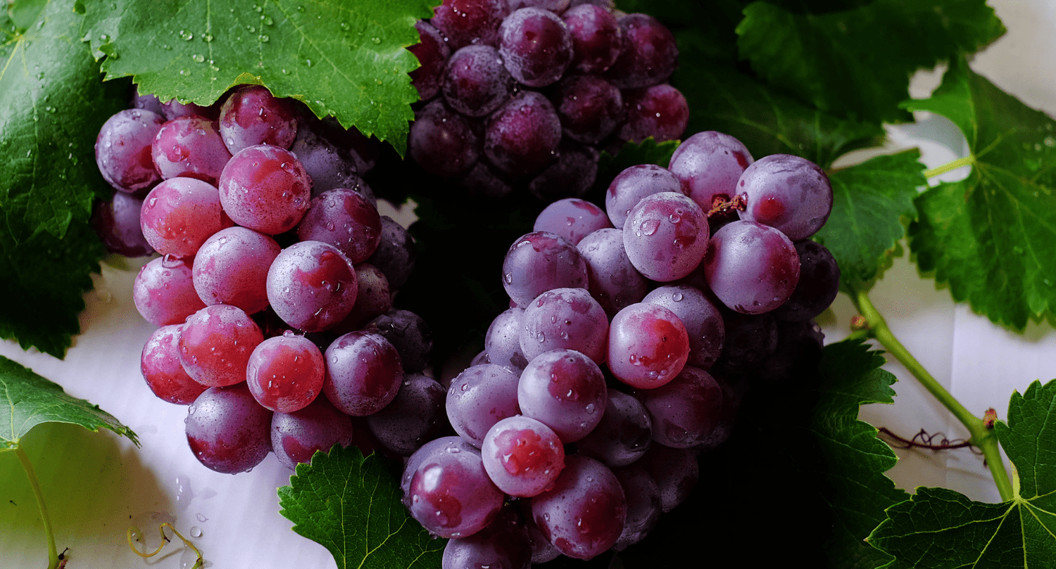Resveratrol - iS CLINICAL - Tu piel, nuestra ciencia